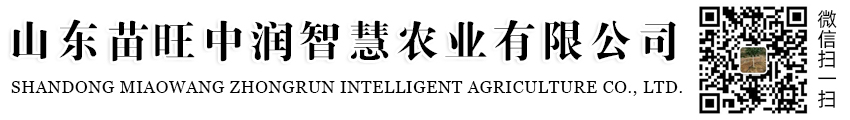 眾美德
